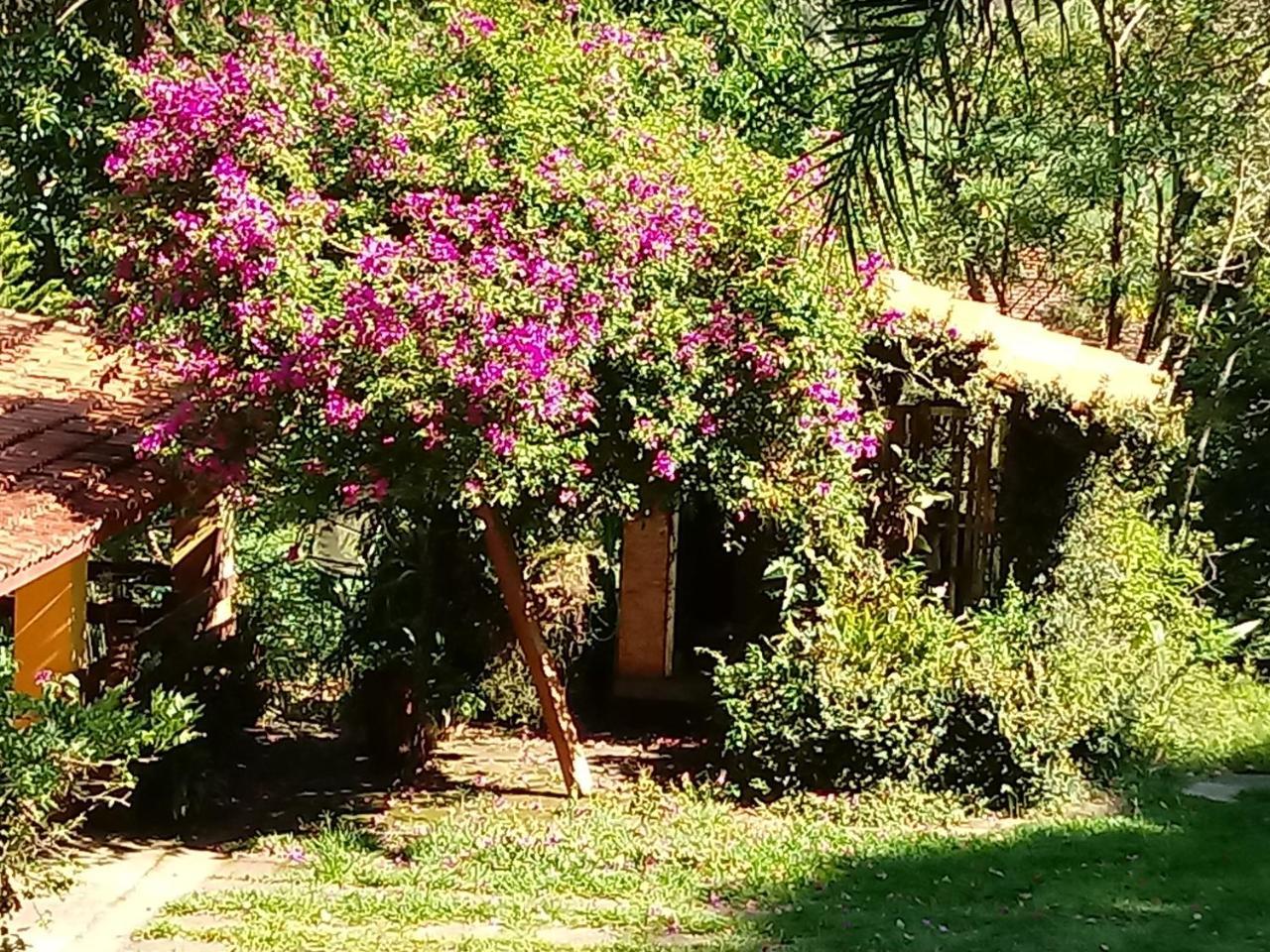 Sitio Ipecamirim *